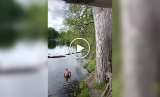 Странные видео (короткие видео). Выпуск 19