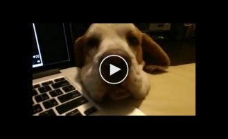 Решил пересмотреть Хауса