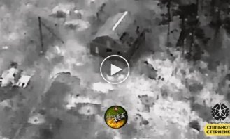 Kamikaze drones on the left bank of the Kherson region