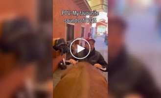 Как работает конный мануальный терапевт