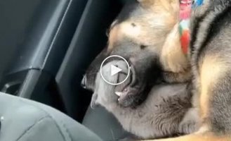 Тихий и спокойный сон