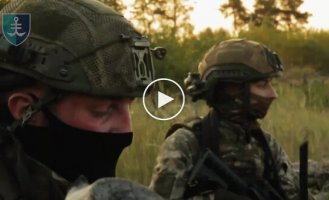 Сили оборони виявили та знищили групу окупантів, які намагалися сховатися в лісосмузі неподалік наших позицій