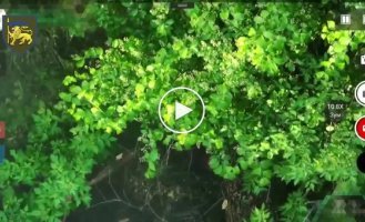 Воины 60 ОМБр ликвидировали четырех российских солдат на Лиманском направлении