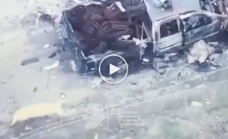 Дика свиня намагається з'їсти ще живого російського військового