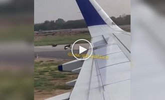 Незвичайні пасажири Boeing 737