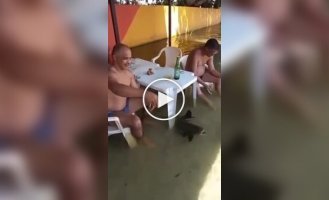 Пиво с рыбкой