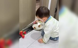 Мама объяснила сыну, как работают инвестиции — с клубникой наглядно