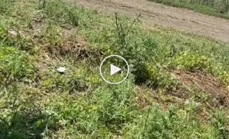 A selection of videos of damaged Russian equipment in Ukraine. Issue 76
