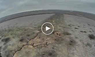 Трохи FPV камікадзе