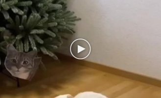 Another effective way to protect a Christmas tree from a cat