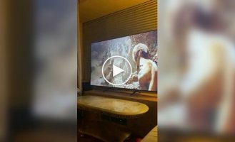 How to Watch Intense Scenes in The Lion King