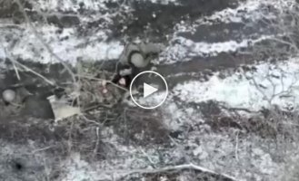 Ukrainian drone drops FOGs and grenades on Russian military in Lugansk region