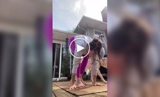 Пес украсил собой видео хозяйки