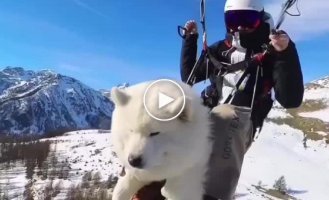 Везде идешь со своим другом