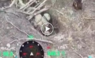 A Ukrainian FPV drone flies into a trench near a Russian military man in the Eastern direction