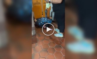 Попытка пройти без билета закончилась застреванием