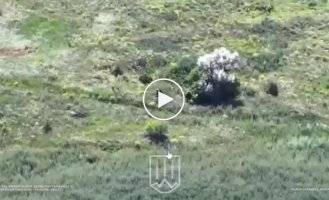 Силы обороны отражают штурмовые действия врага на Купянском направлении и уничтожают оккупантов