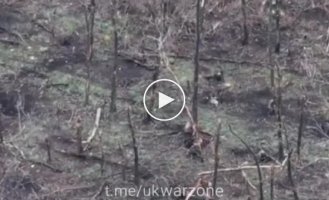 Destruction of an enemy assault group using cluster munitions and dropping grenades in the Bakhmut area