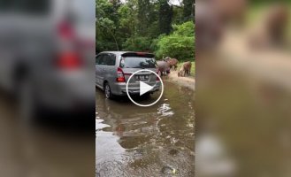 Самый большой автомобиль