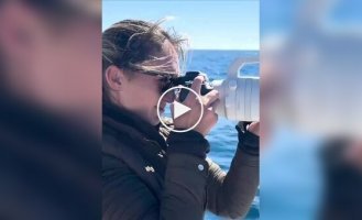 In California, thousands of dolphins were accidentally captured on camera racing past a boat