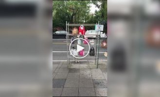 A dog picks up an order with food in China