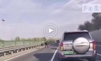 An escaped ostrich escaped the hands of its owner on a Chinese highway