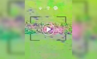 Dronari of the 412th SBS regiment hit enemy howitzers
