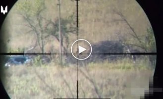 Footage of the work of Ukrainian MTR snipers in the Zaporozhye direction
