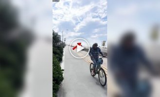 Пілот дивом посадив літак на пляжі в Сан-Дієго