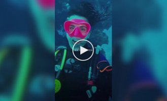 Рыбка, которую уважают и не трогают хищники