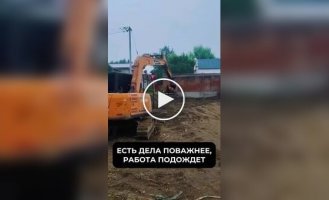 Пес катается в ковше экскаватора