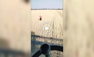 Украинский фермер собирает урожай в Днепропетровской области