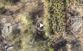 Нацгвардійці влучно атакують російських штурмовиків, які ховаються в руїнах Торецького напрямку