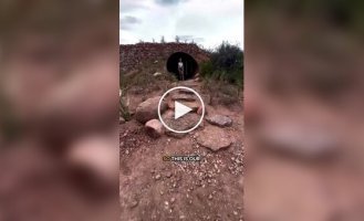 The Flintstones' House in real life: Unusual accommodations on Airbnb