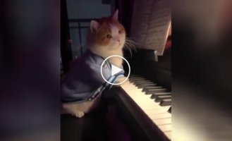 Beginner pianist plays music