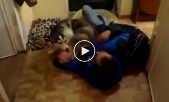 Посмотрев на эту собаку, ты захочешь завести себе такую же