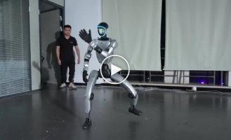 Люди продолжают обижать роботов