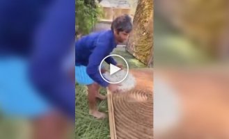 В Індії розкрили таємницю створення шовку, який цінують по всьому світу