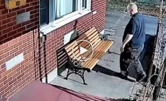 A gun is not an argument: Saved a cat from a fighting dog