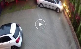 Талантливый водитель
