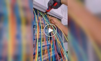 Из жизни электрика
