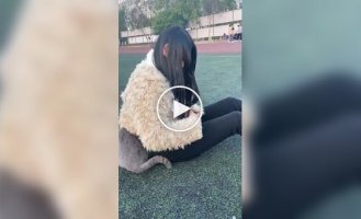 Из жизни котов-интровертов