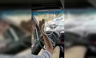 У Нідерландах водій спробував об'їхати пробку по зустрічці — не вийшло