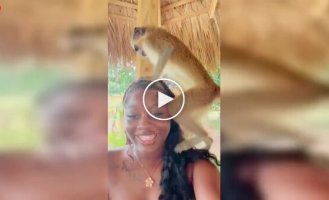 Фото с обезьяной обернулось неожиданностью