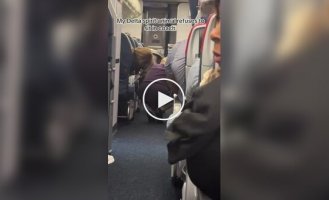 Упитанная кошка сбежала от хозяина в первый класс самолета