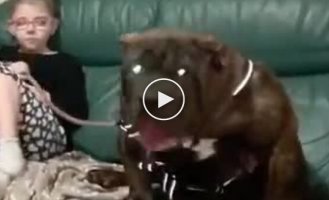 Тварини (короткі відео). Випуск 81