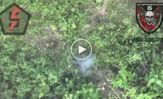 Ukrainian drone drops FOGs on Russian infantry in the Bakhmut direction