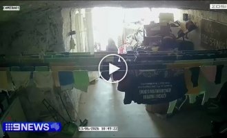 Kangaroo knocks girl over