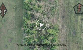 Drone operators from the 5th Brigade destroy enemy infantry near Ivanovskoe in the Donetsk region