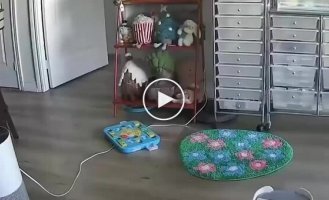 While the owner isn't looking